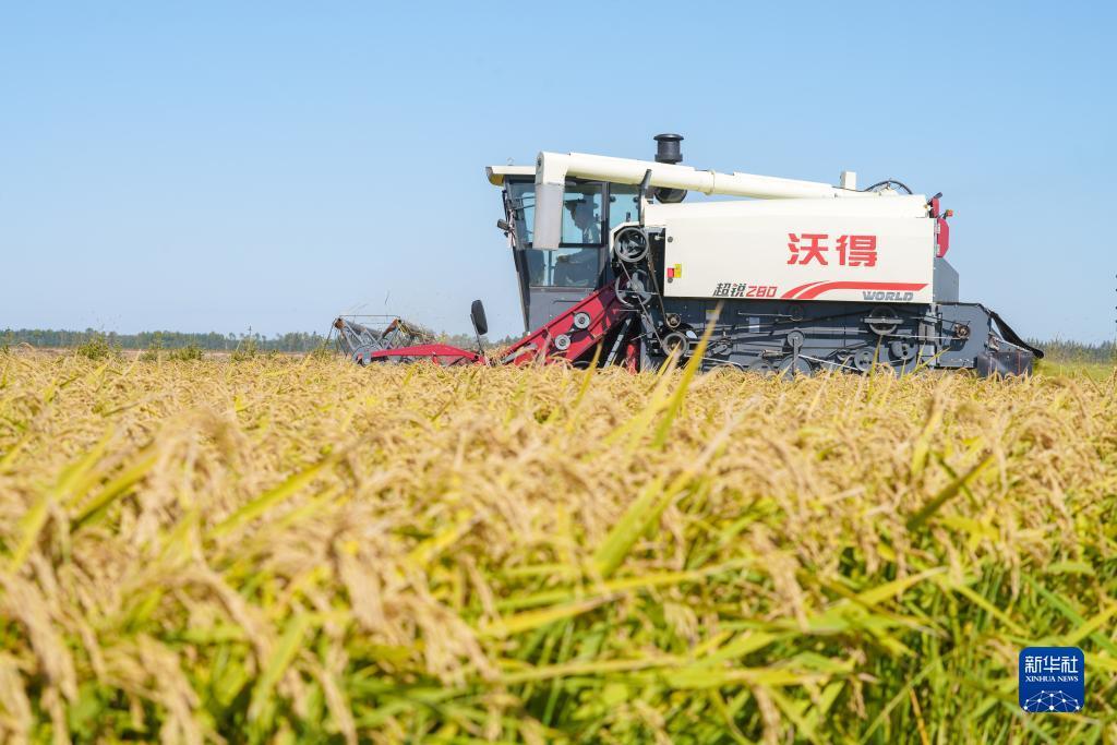永利网注册娱